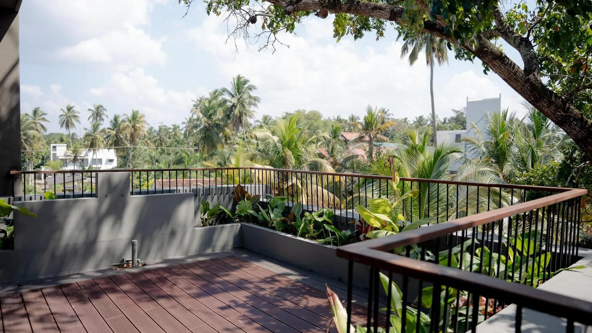 Bohemian Nest Hotel Negombo Sri Lanka